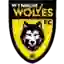 Wynnum Wolves FC