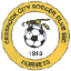 Cesnock City Hornets