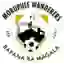 Morupule Wanderers