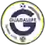 Guadalupe U20