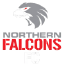 Northern Falcons
