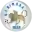 ФК Химара