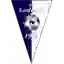 СВ Лудеш
