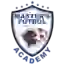 Мастерс ФА