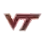 Вирджиния Тех Хокис
