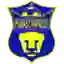 Pumas Chapacos
