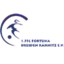 1. ФФК Фортуна Дрезден Ряхниц