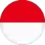 Indonesia All-Star