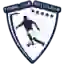 CS Pitesti 2008