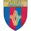Viitorul Aninoasa
