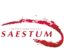 SV Saestum (Women)