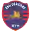 Рюцу Кэдзай Драгонс