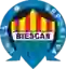 UD Biescas