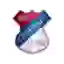 Торлак Кумодраж