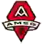 AMSG FC