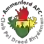 Ammanford AFC