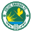 Celtic Shatura