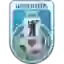 Shinnik U10