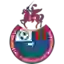 C.S.D. Municipal