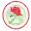 Adamstown Rosebud II