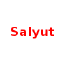 Salyut U17