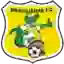 Brasiliense Futebol Clube