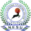 Nesu