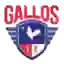 Gallos FC