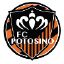 Potosino