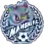 Foshan Nanshi FC
