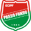 Esporte Clube Passo Fundo