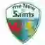 The New Saints Lfc