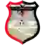KF Drenasi