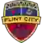 Flint City AFC