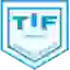 Tjorring IF