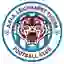 APIA Leichhardt Tigers Viareggio Team