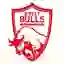 Jersey Bulls FC