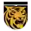 Colorado Tigers