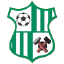 Crettyard United