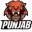 Punjab FC