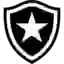 Botafogo RJ U20