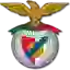 Sport Benfica e Castelo Branco