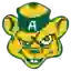 Alberta Golden Bears