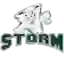 Лэйк Эри Шторм