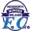 Hemsworth Miners Welfare