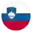 Словения U17