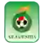 National Football Academy