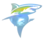 LIU Sharks (Women)