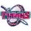 Detroit Mercy Titans (Women)