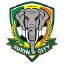 Surin City